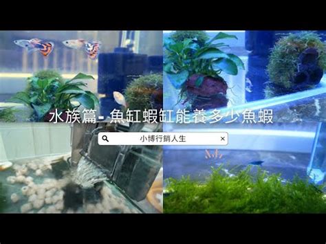 魚缸計算|魚缸容量計算器